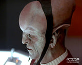(STLV26) AUTOGRAPH PRE-ORDER - MICHAEL BERRYMAN 8x10 & Send-In