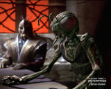 (STAU) AUTOGRAPH PRE-ORDER - TARIK ERGIN Mail-In SIGNING