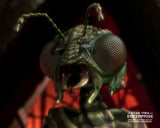 (STAU) AUTOGRAPH PRE-ORDER - TARIK ERGIN Mail-In SIGNING