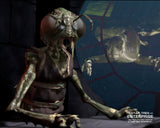 (STAU) AUTOGRAPH PRE-ORDER - TARIK ERGIN Mail-In SIGNING