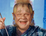 (STLV25) AUTOGRAPH PRE-ORDER - ETHAN PHILLIPS 8X10 & Send-In