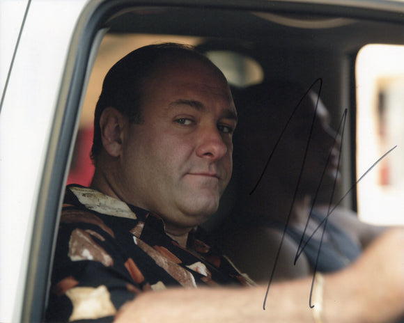 *VERY RARE* James Gandolfini Signed 8x10 - 'The Sopranos' Autograph