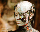 (STLV25) AUTOGRAPH PRE-ORDER - JERI RYAN 8X10 & Send-In