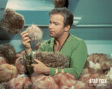 (TICON) AUTOGRAPH PRE-ORDER - WILLIAM SHATNER 8X10 & Send-In #1 STAR TREK