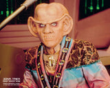 (GCC) AUTOGRAPH PRE-ORDER - ARMIN SHIMERMAN 8X10 & Send-In