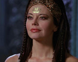 (TLI) OFFICIAL AUTOGRAPH PRE-ORDER - MUSETTA VANDER 8X10 & SEND-IN