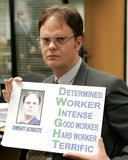 (GCC) AUTOGRAPH PRE-ORDER - RAINN WILSON 8x10 & Send-In